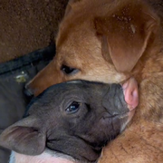 宇宙万物皆为屁