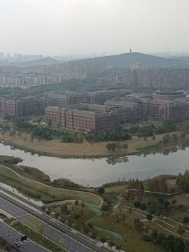 龙菲菲越来越好的图片