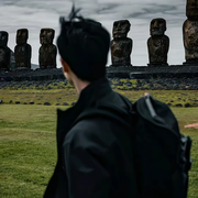 🐑🐼🐻🐨🐱头像