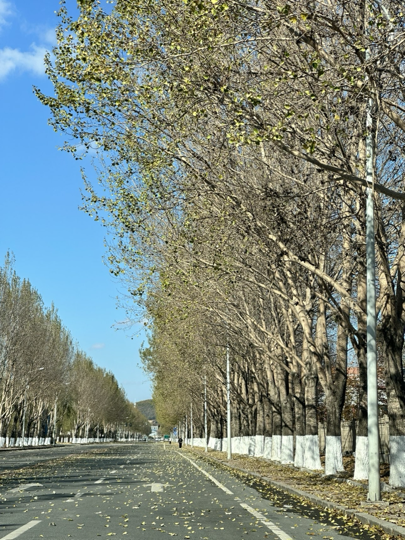 洋洋得亿🌸海报