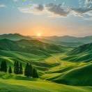 多年以后xyw的头像