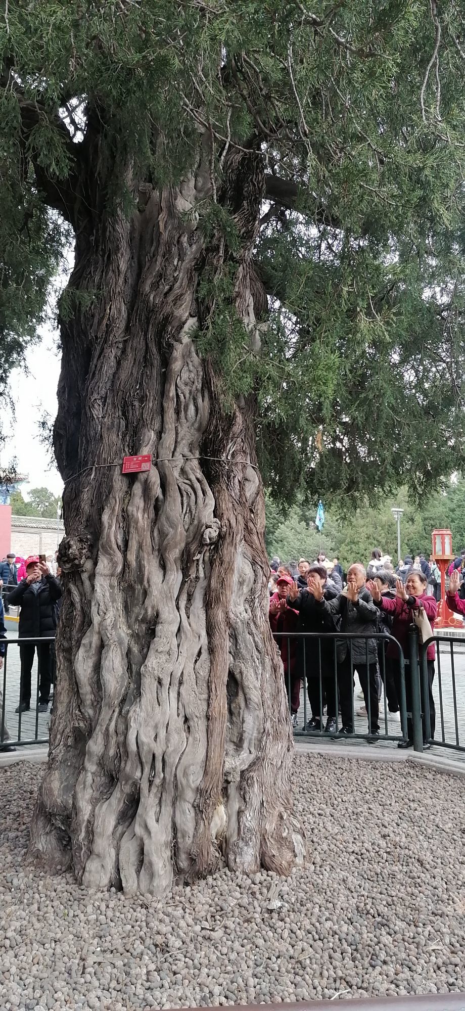 淮枭羽弥陀主播图片