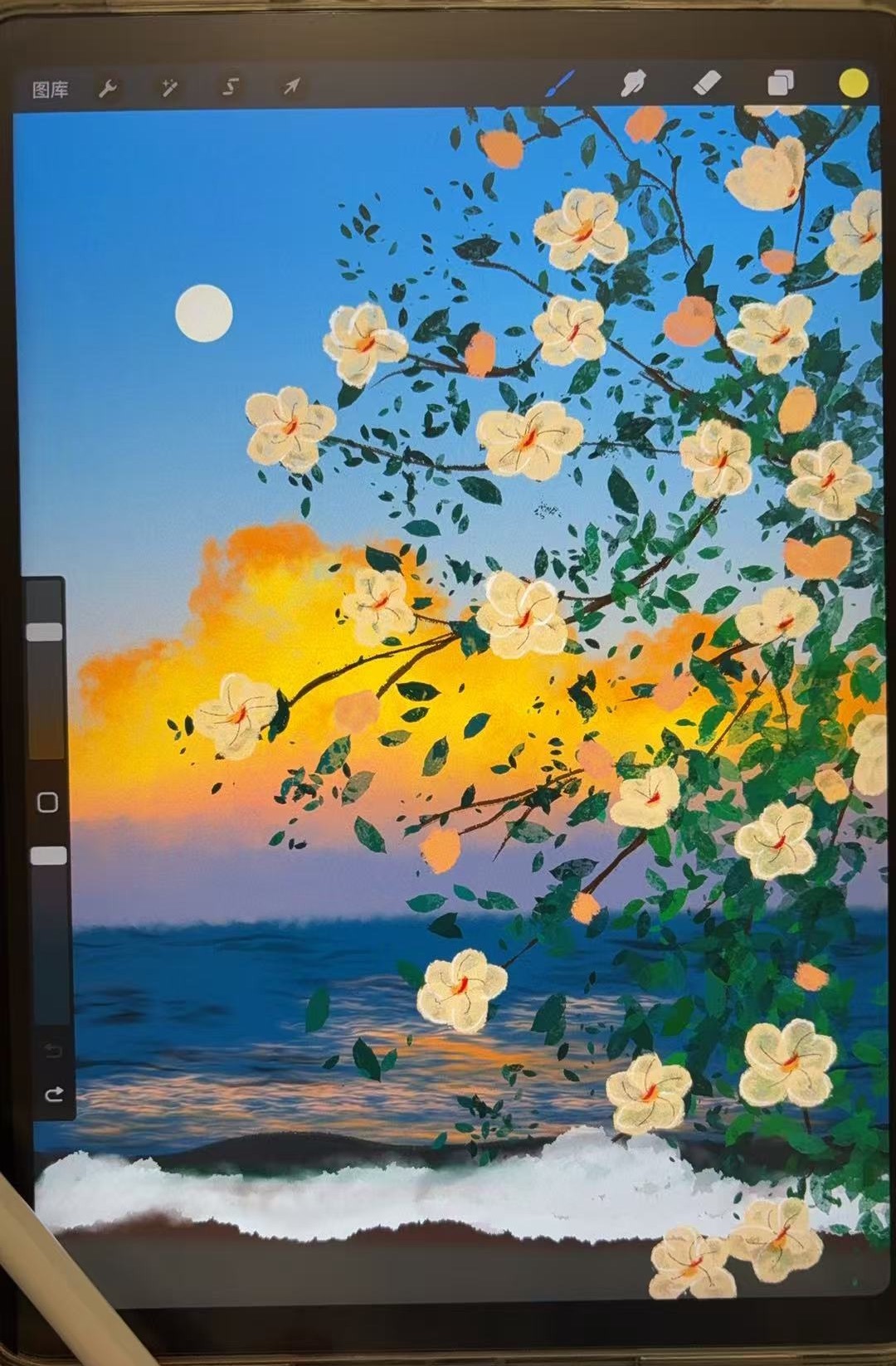 念安休主播图片