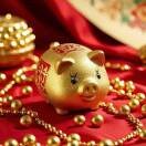 金装不象的头像