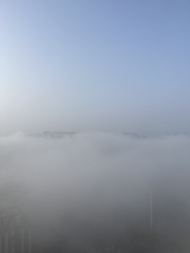 温婉不饿的图片