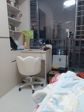 甜甜私房猫_安静的图片