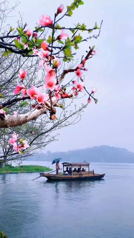 孙土焱是我的图片