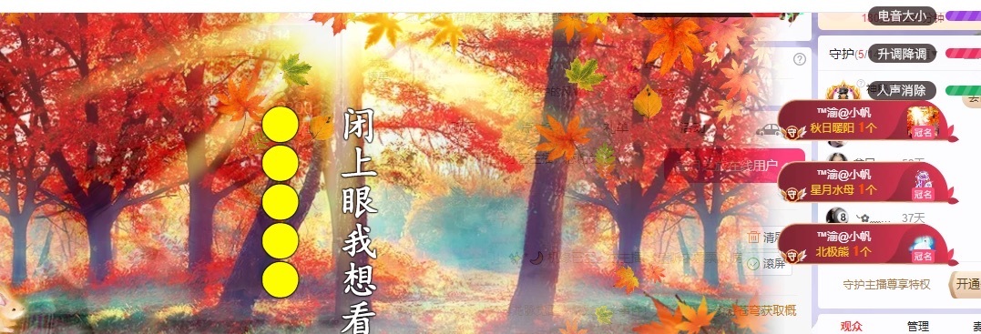 念安休主播图片