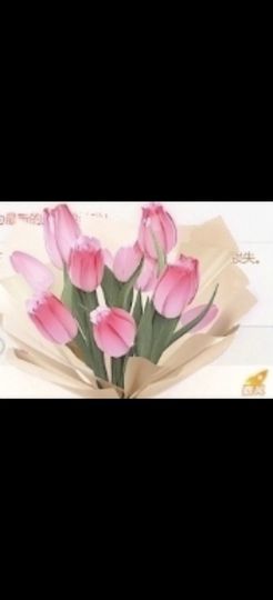 新人静子呀的图片