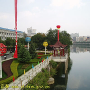 糟老头子贪恋你的唇。