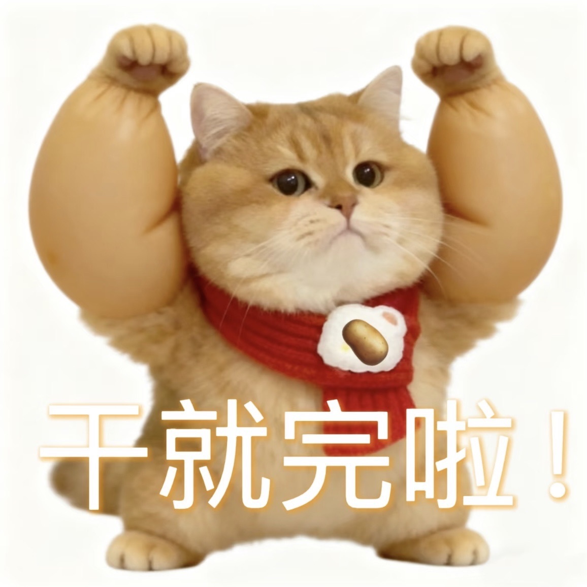 一心爱唱歌🌟主播图片