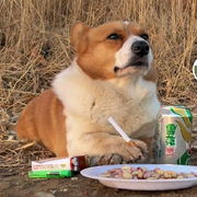 ☞…嘸杺…☜的头像