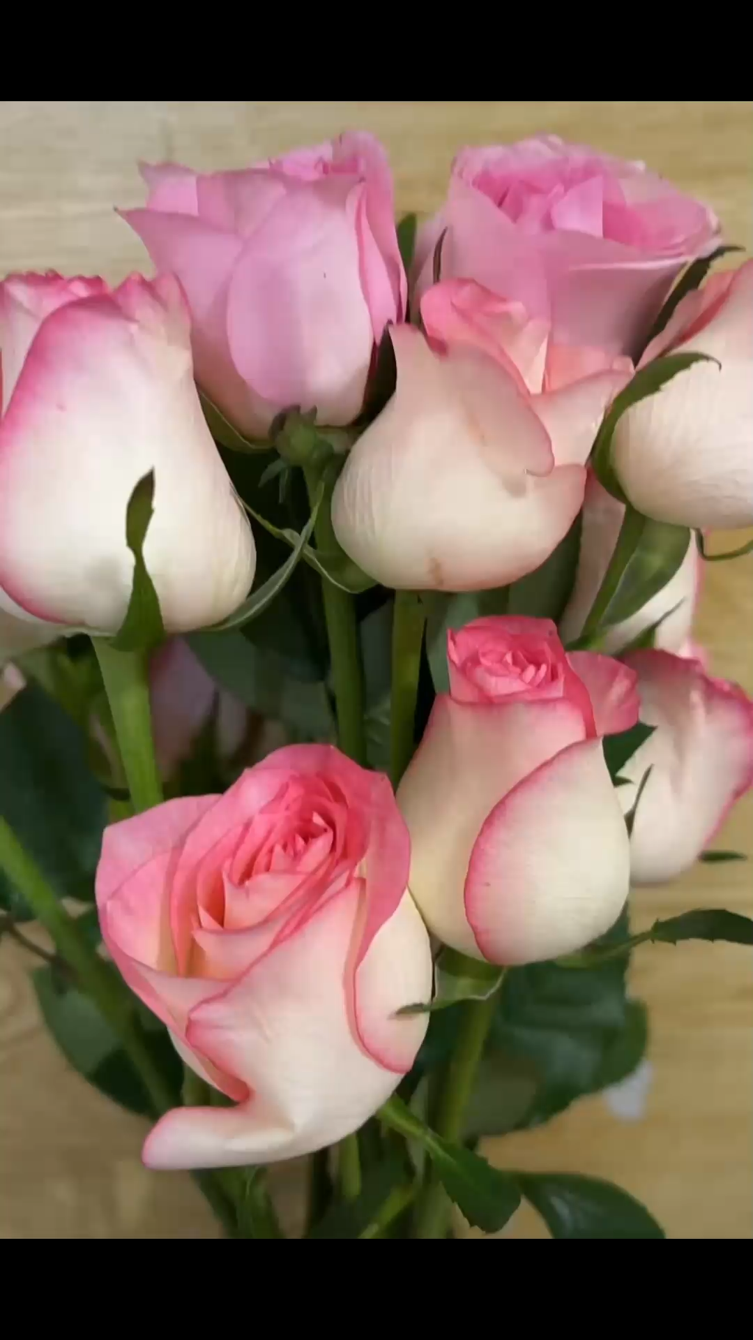 把自己当作一朵花，用