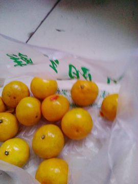 天王盖地虎虎044的图片