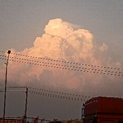 🐮🐮🐮🐮道的头像