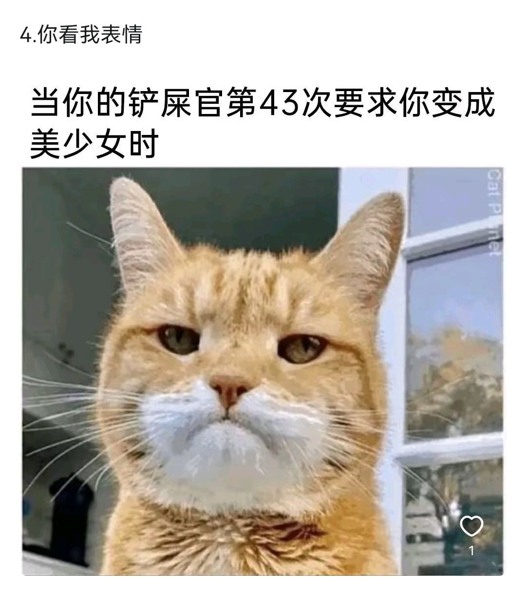 冰棒.主播图片