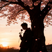 做个好梦哦的头像