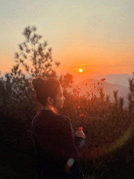 萌新茉莉的图片