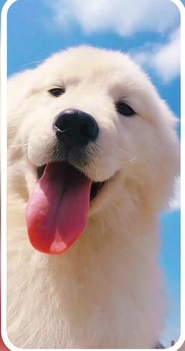 小仙女在等你投喂的图片