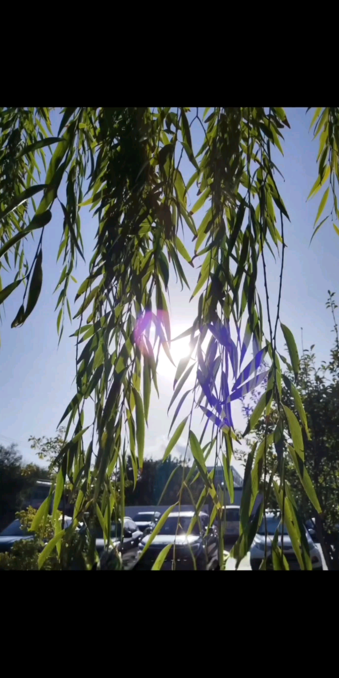 下篇：一切尽付谈笑中