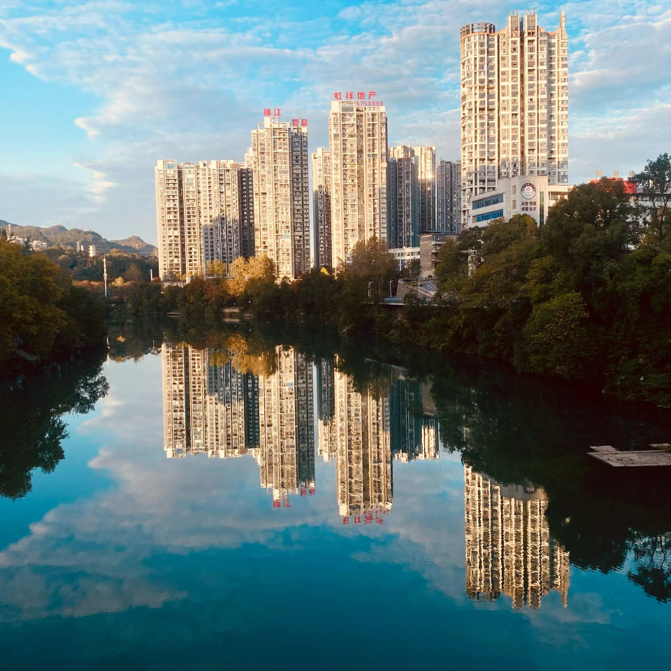 玫瑰怎会愛上嘢草海报