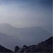 就是悄悄来看美女的的头像