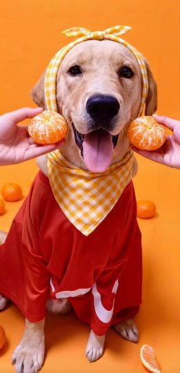 北北💋身体不适休1的图片