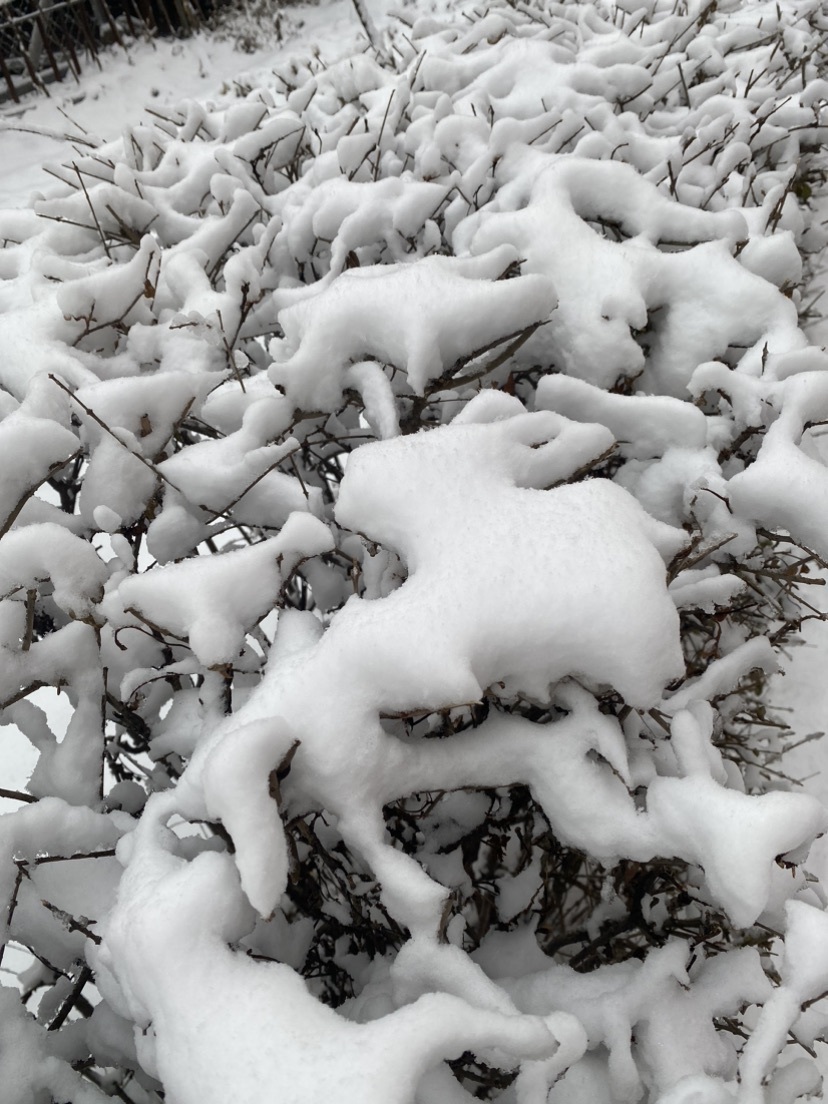 ^柚老妹儿^主播图片