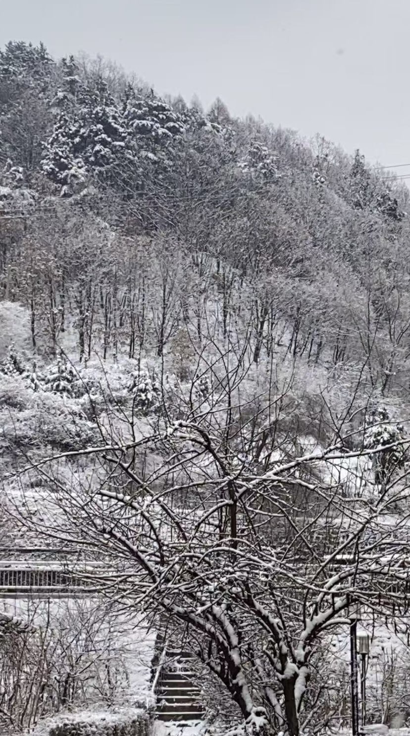 ^柚老妹儿^主播图片