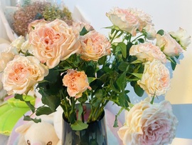 ☂客家甜心金牌代理☂的图片