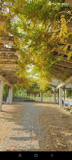 婷婷💕感恩有你陪伴的图片