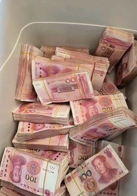 猫林新.7的图片