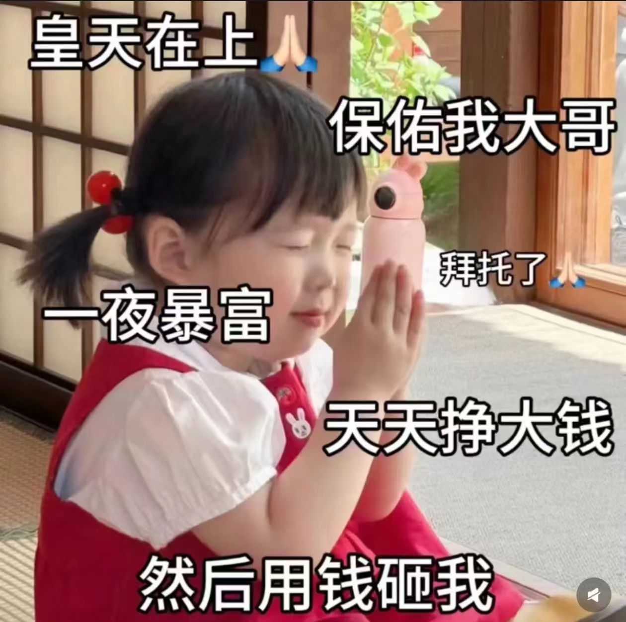 寵兒??好運常伴主播圖片