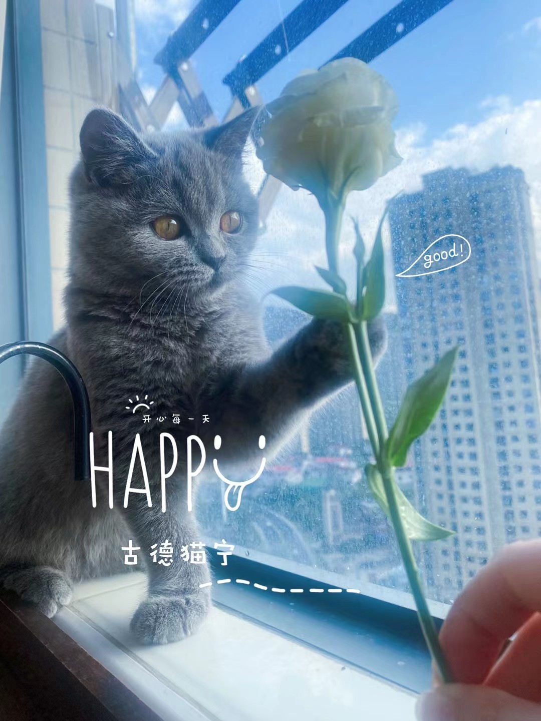 方儀??人間限量版的主播照片