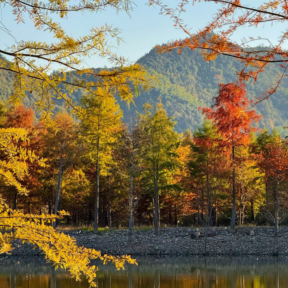 💗᭄往事ᝰᩚ随心海报