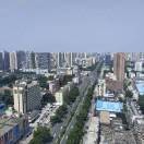 草原上的王者iOz