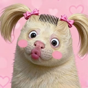 你家憨憨已上线☞