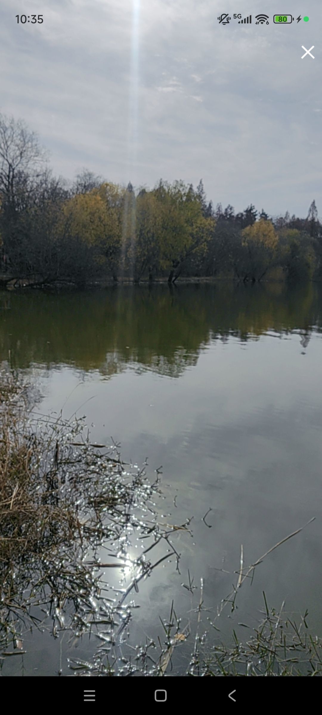 婷婷💕感恩有你陪伴主播图片