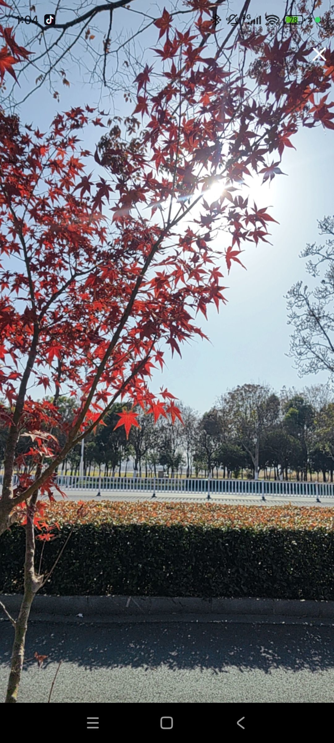 婷婷💕感恩有你陪伴主播图片