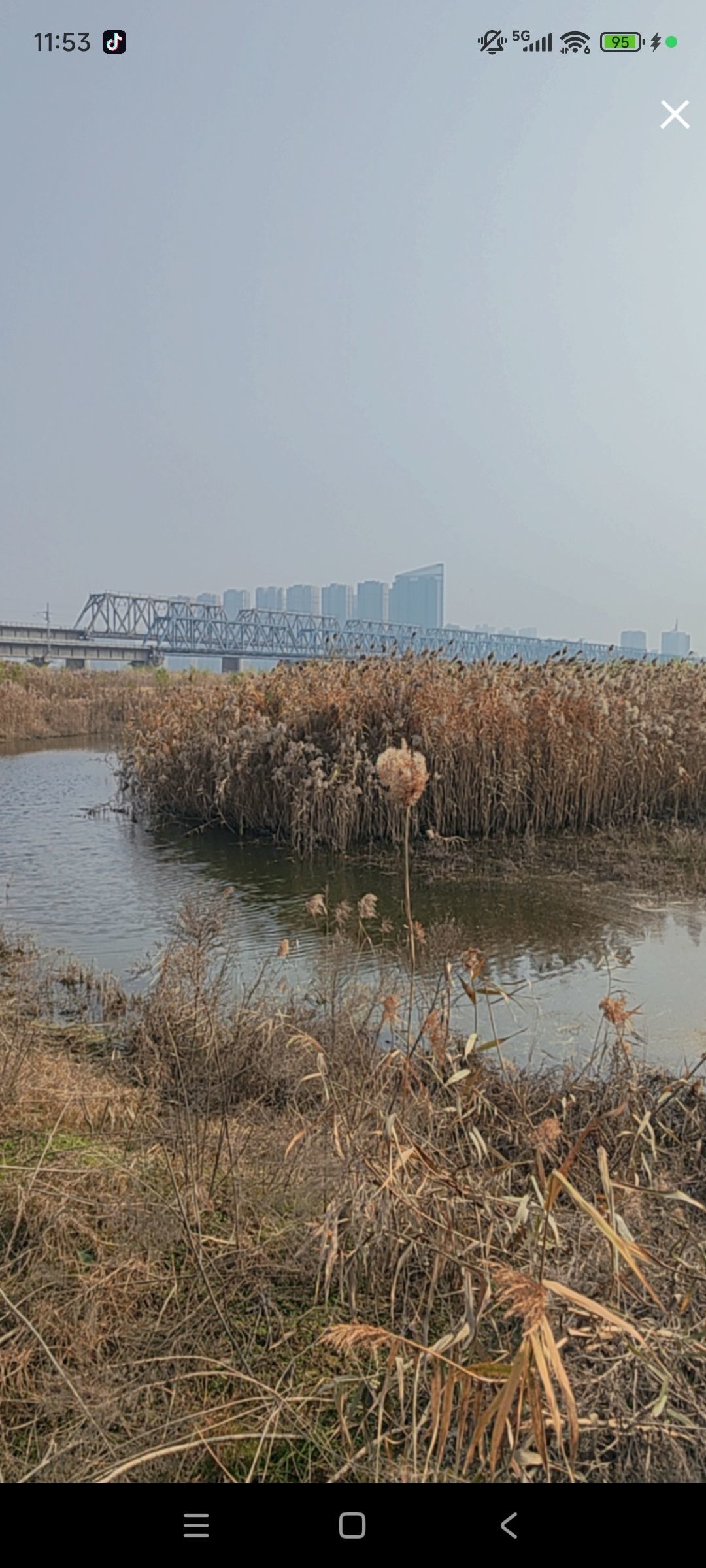 婷婷💕感恩有你陪伴主播图片