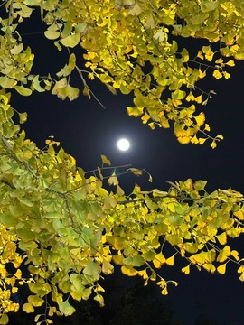 小长今💃的图片