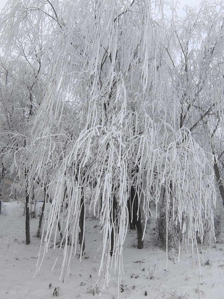 天王蓋地虎虎044主播圖片