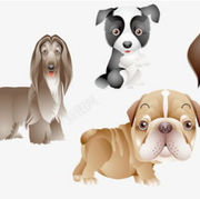 大狗二狗三狗.旺旺旺