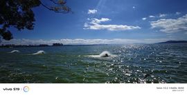 阿涛户外骑行！的图片