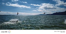 阿涛户外骑行！的图片