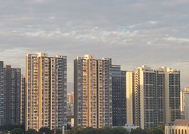 青杉🎤可爱迷人的图片