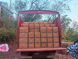 小玲儿～开心就好的图片