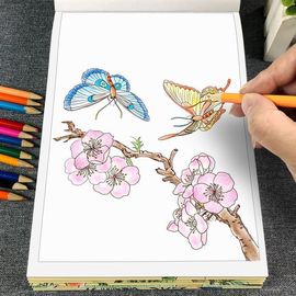 霸气的开心果果主播照片