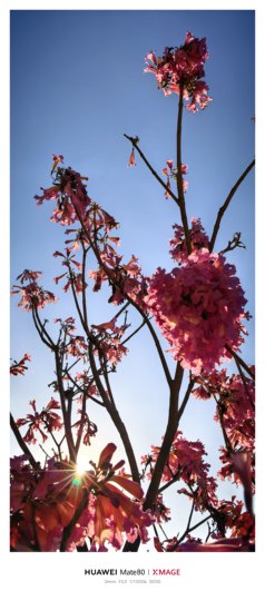 缠缠绵绵🔪谢伊然的图片