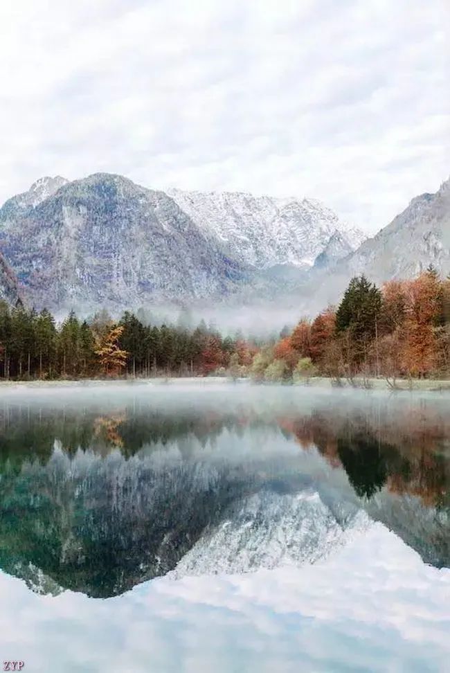 孙土焱是我主播图片